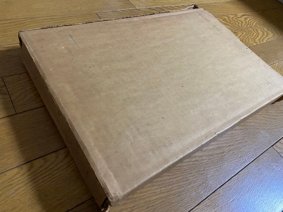 日本刺青芸術 彫芳 第2巻