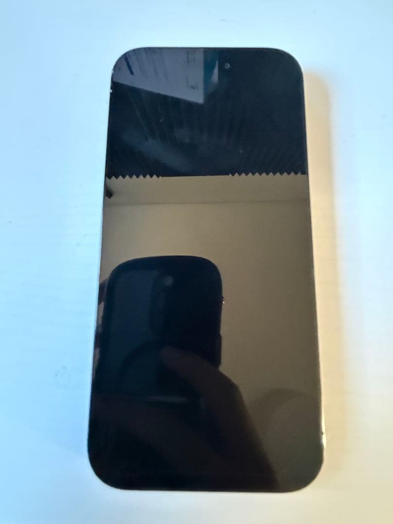 AppleiPhone14proジャンク品ブラック 本体スマホ本体のみ初期化済み