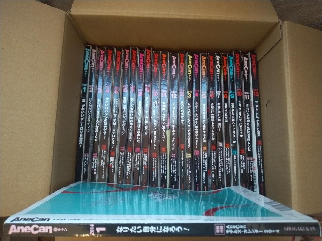 AneCan ＜貴重！＞合計85冊セット