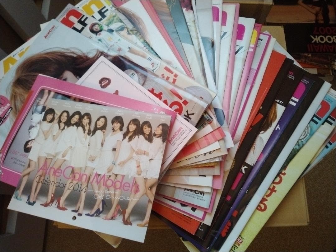 AneCan ＜貴重！＞合計85冊セット