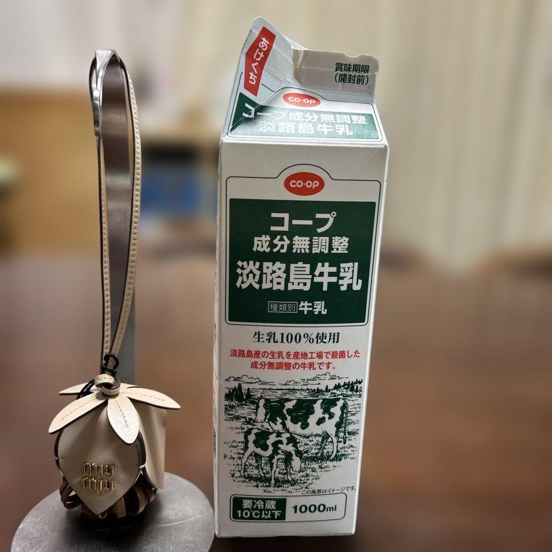 miu miu レザートリック