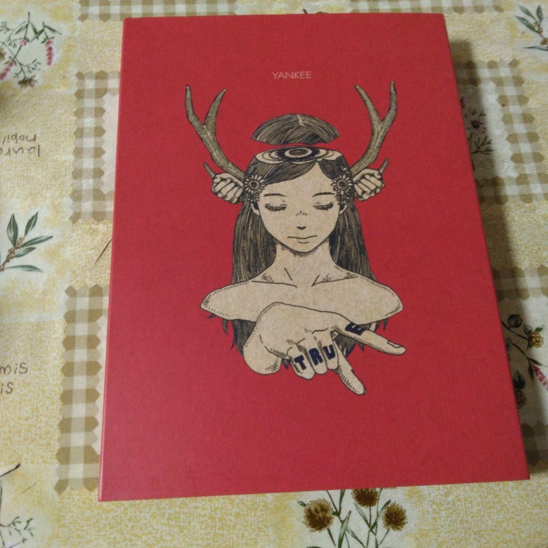 米津玄師　YANKEE　初回生産盤　ハチ　ドーナツホール　CD　画集付き