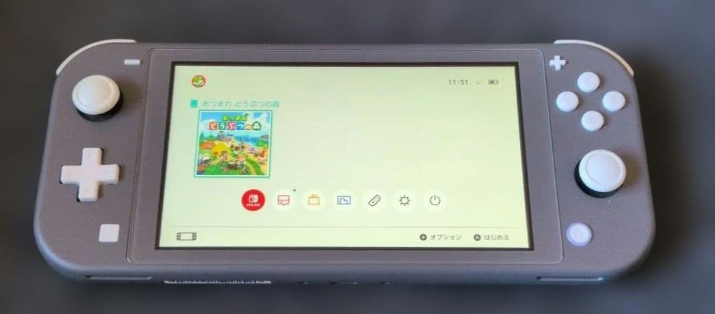 Switchライト あつまれどうぶつの森 amiiboカード フルコンプ