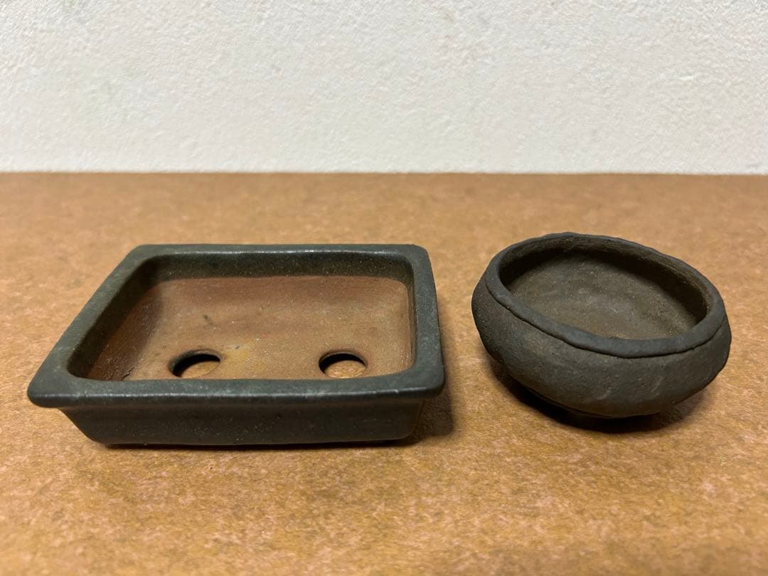 暁雲　盆栽鉢　ミニ盆栽　小品盆栽　山野草