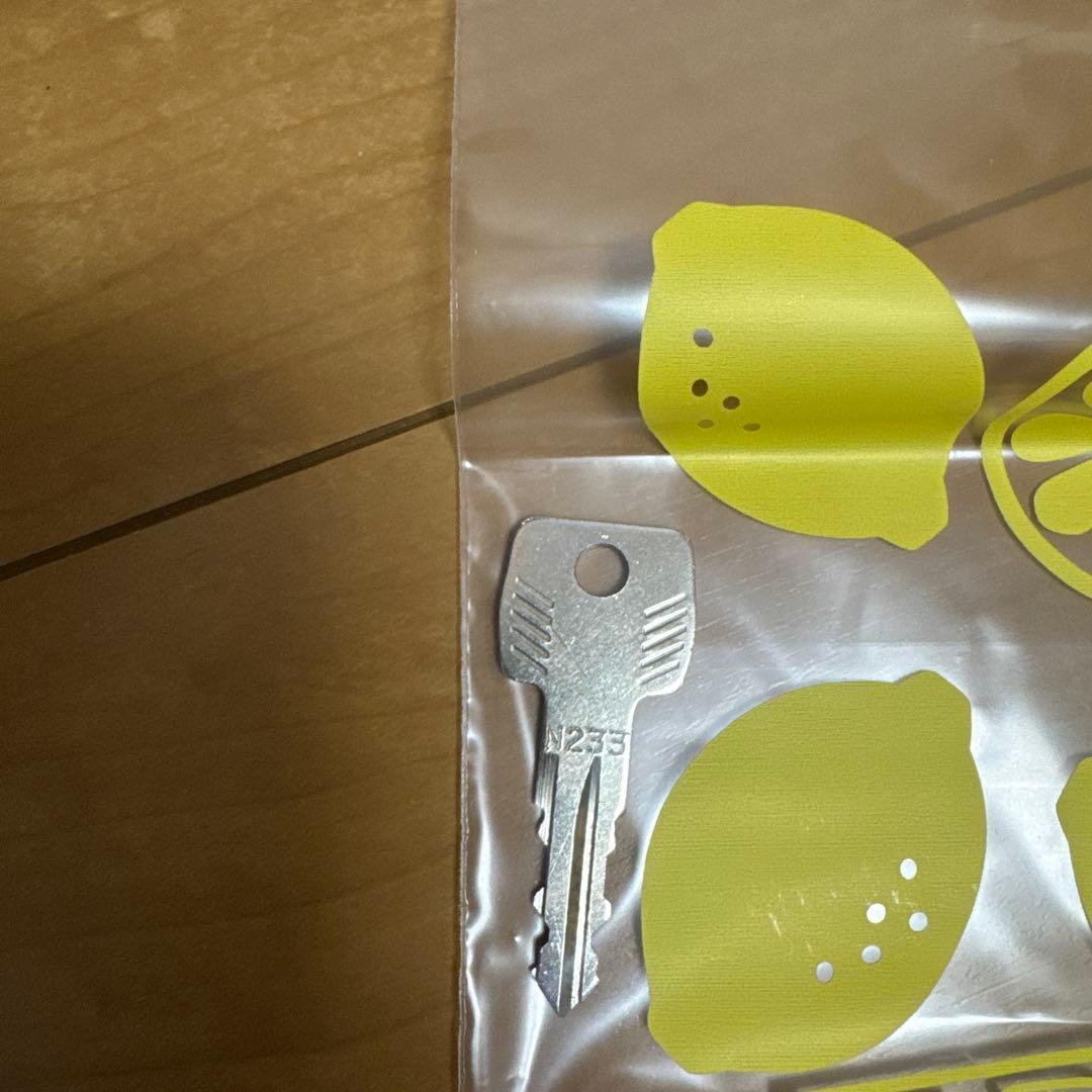 Thule Yepp 2 Maxi （スーリー・イエップ・ツー・マキシ）/グレー