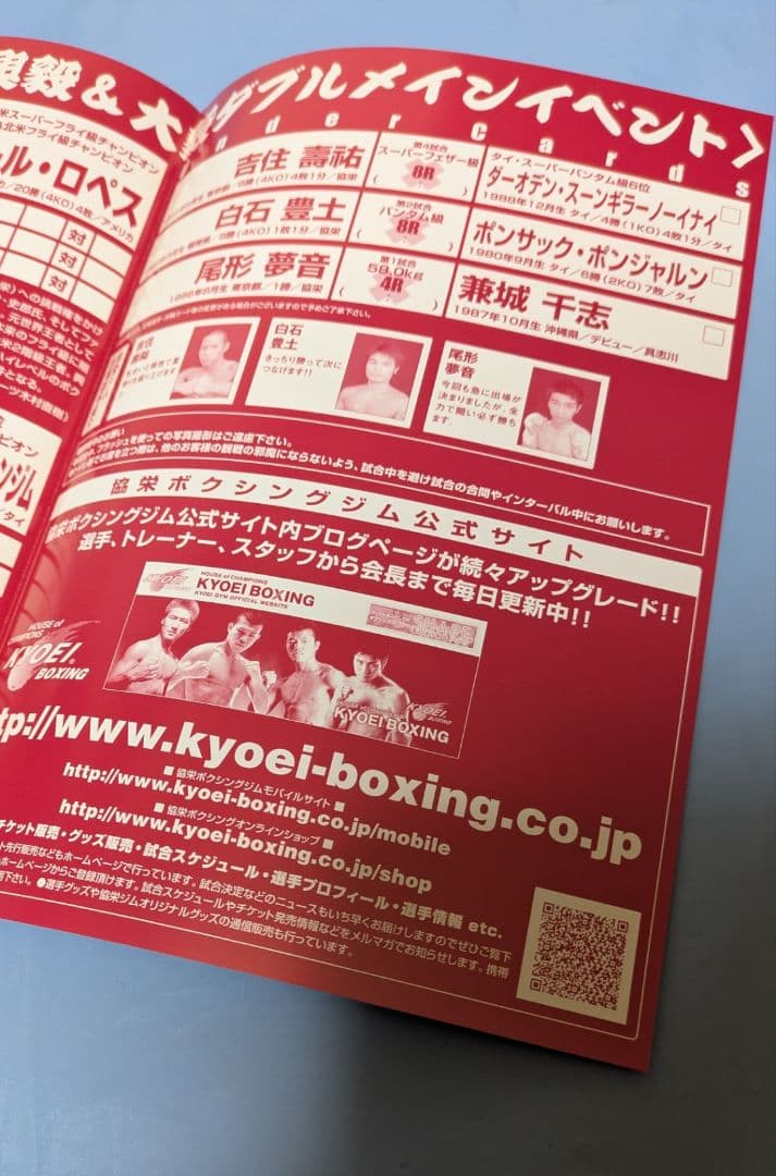 ボクシング パンフレット 亀田興毅×ロペス 女子バレー フライヤー