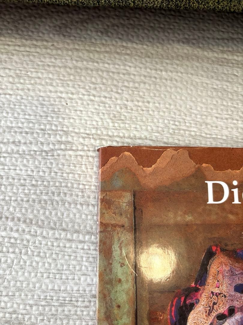 洋書 Dieter Roth in America