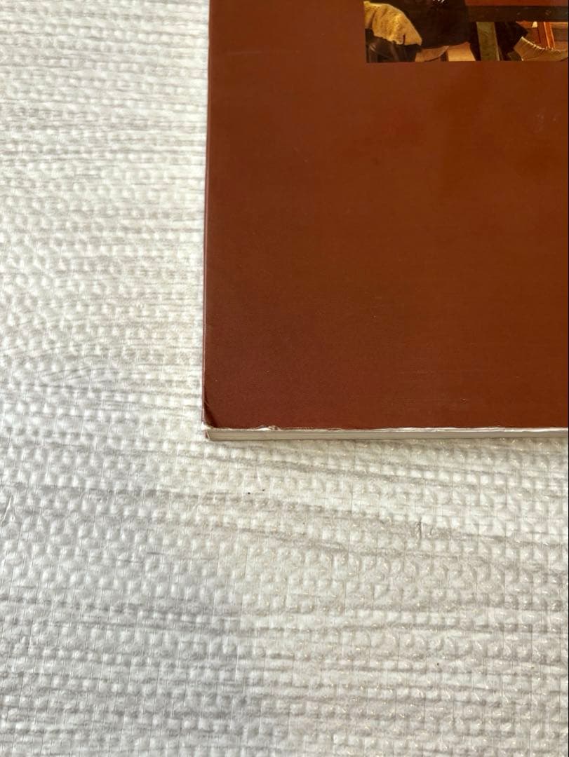 洋書 Dieter Roth in America