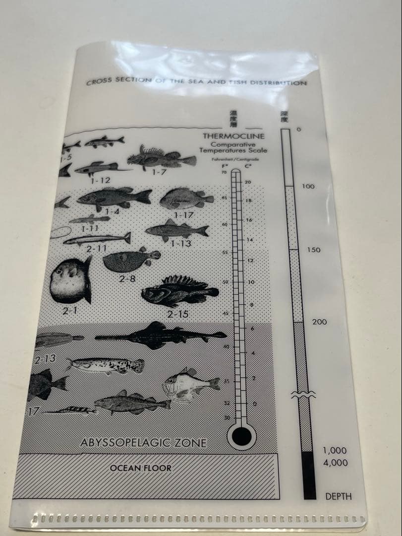 サカナクション 魚図鑑 初回限定盤(2CD＋Blu-ray)特典付