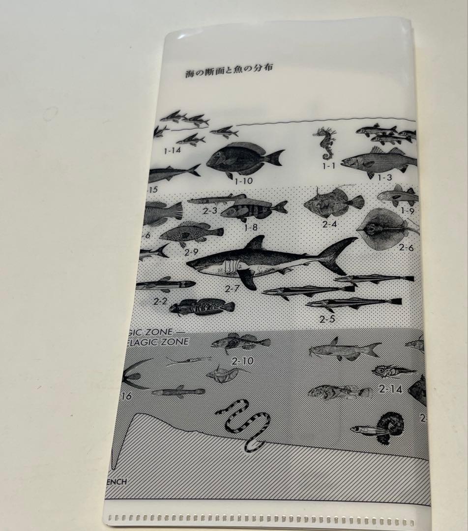 サカナクション 魚図鑑 初回限定盤(2CD＋Blu-ray)特典付