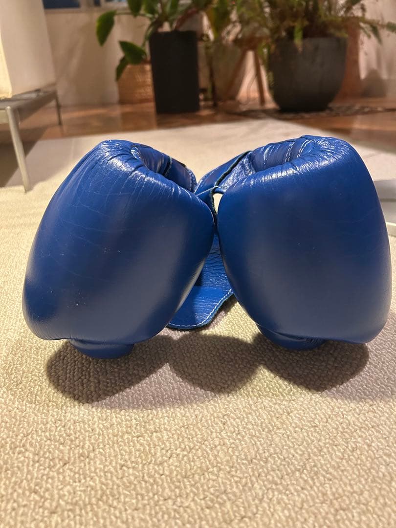 Winning ボクシンググローブ 8 oz ブルー