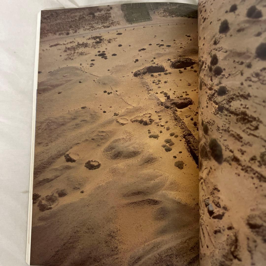 洋書 EGYPT VIVIAN DAVIES AND RENEE FRIEDMAN