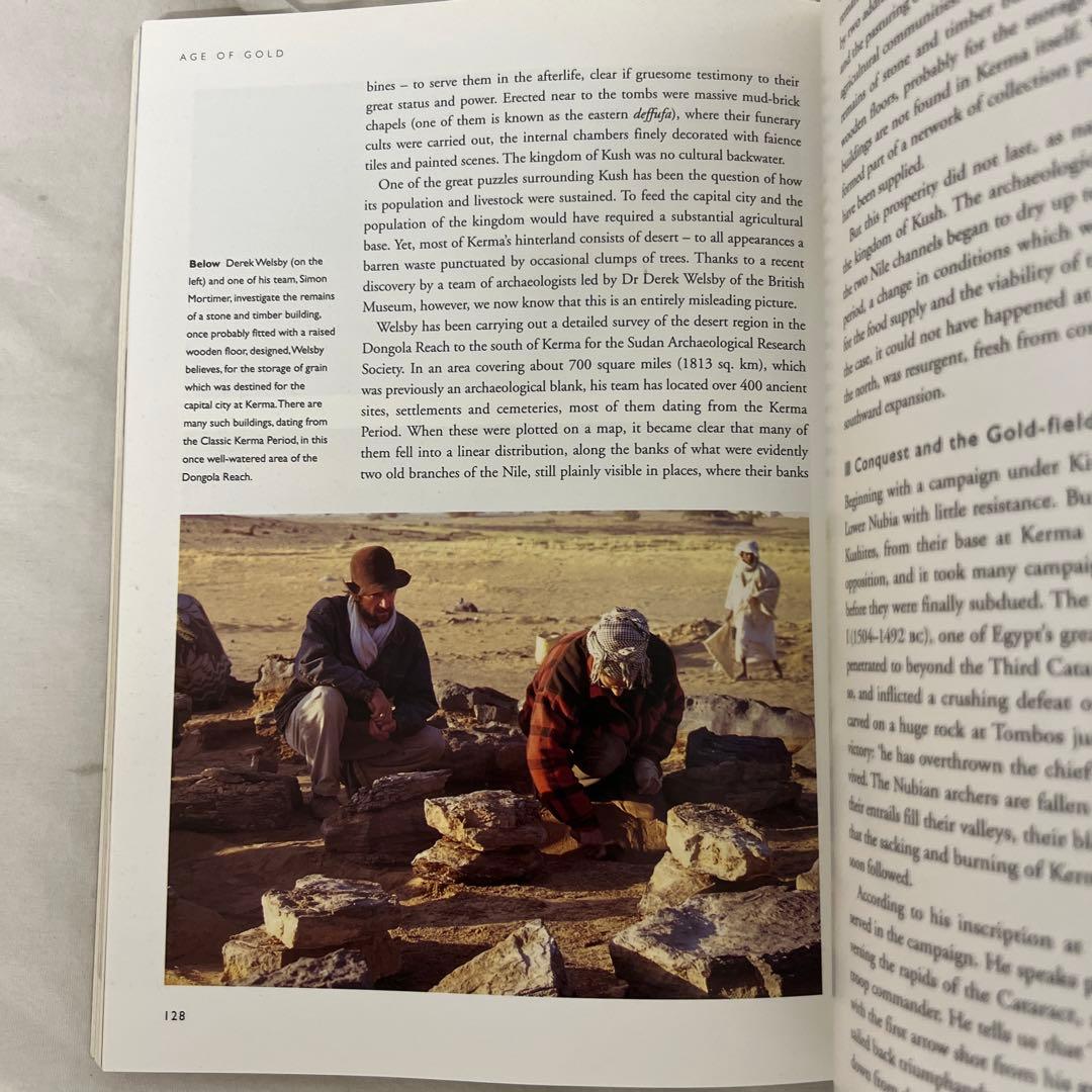 洋書 EGYPT VIVIAN DAVIES AND RENEE FRIEDMAN