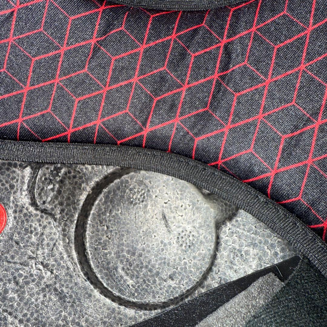 た*き様 AGV PISTA GP RR アジアンフィット