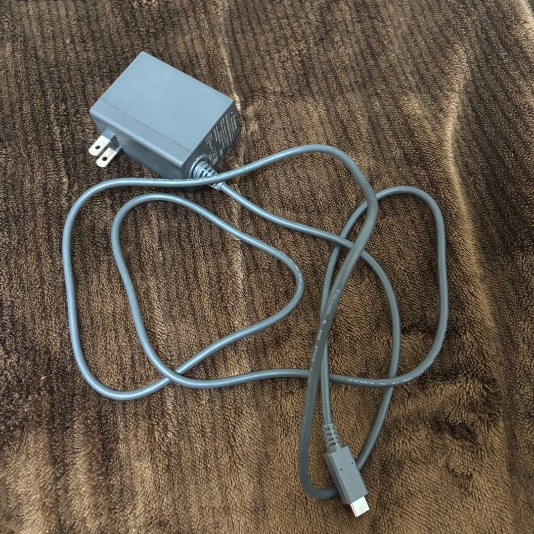 Nintendo Switch Lite ピンク 本体 充電器、ケース付き