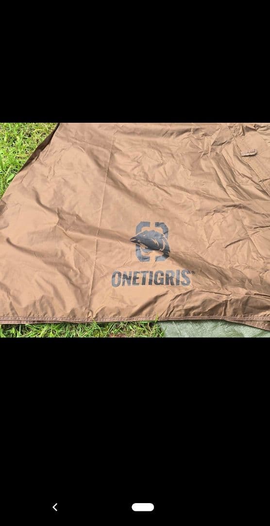 ワンティグリステント