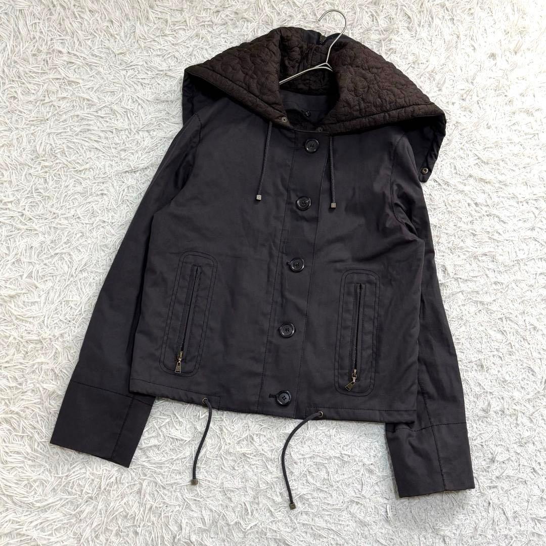 17304✨ルイヴィトン Y2K モノグラム 短丈 ライナー マウンテンパーカー