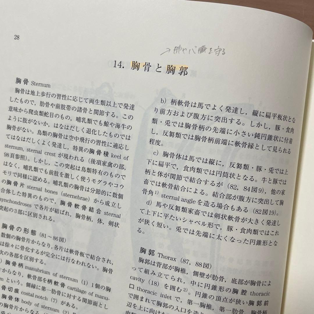 新編 家畜比較解剖図説 上巻・下巻