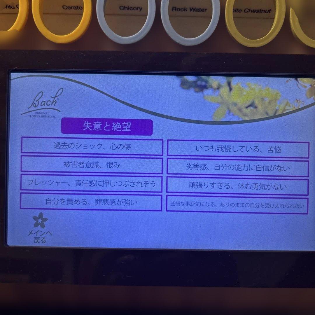 バッチフラワーレメディ　ディスプレイ