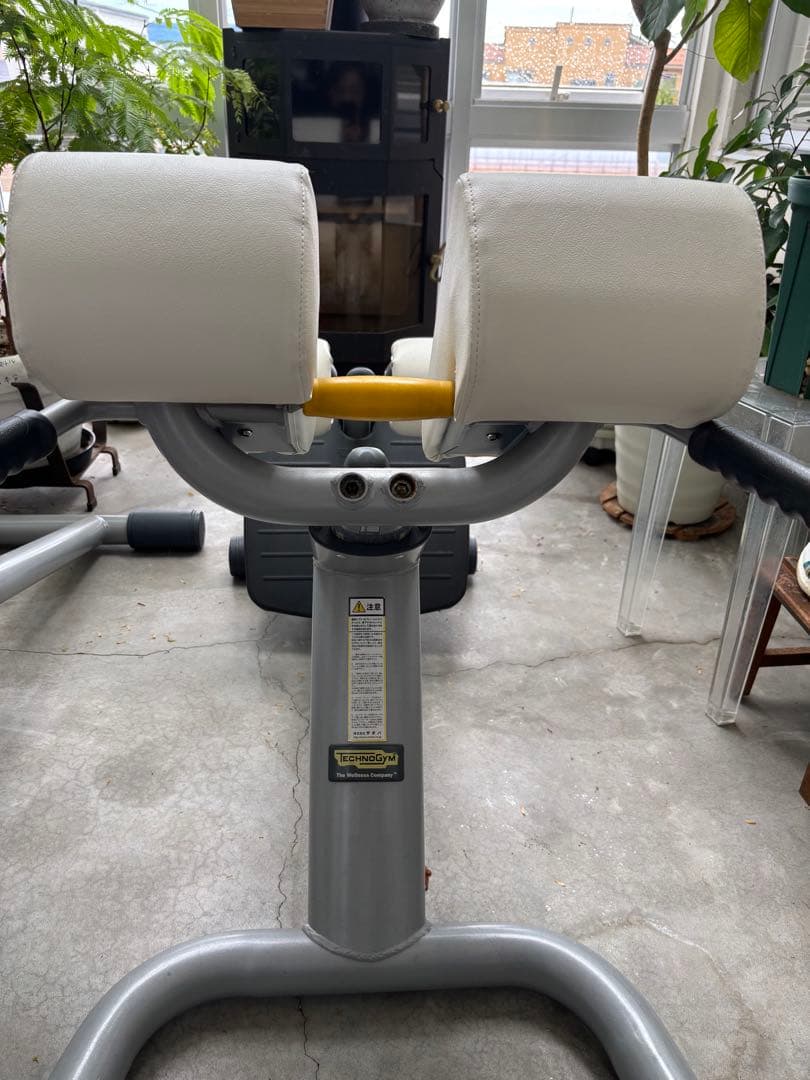 テクノジム ロー ワーバックベンチ Technogym Lower Back