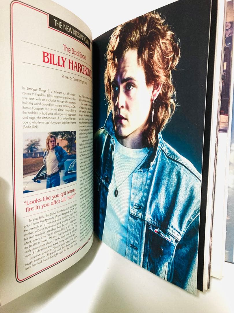 【絶版本】希少『ストレンジャーシングス』ガイドブック／公式図録／洋書／入手困難