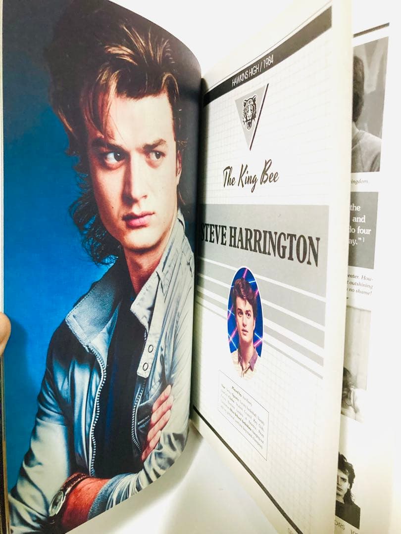 【絶版本】希少『ストレンジャーシングス』ガイドブック／公式図録／洋書／入手困難