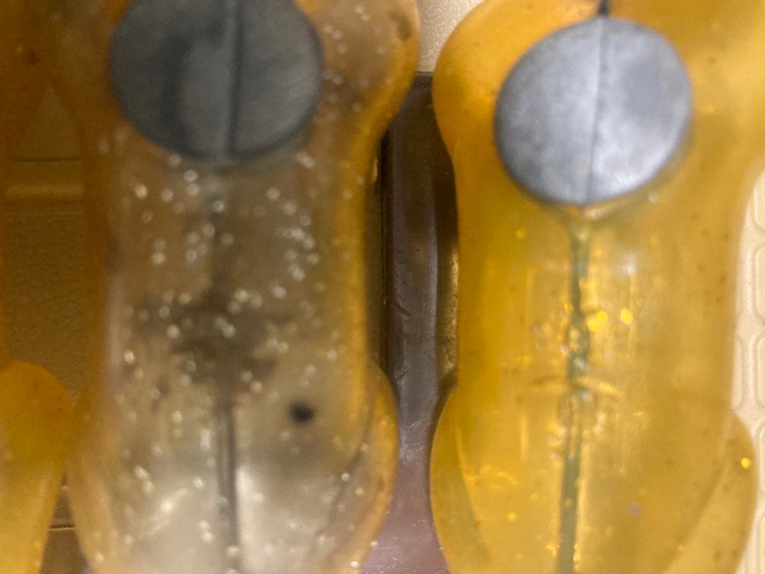 道楽　コンドウユタカ　フロッグ4個セット　激安