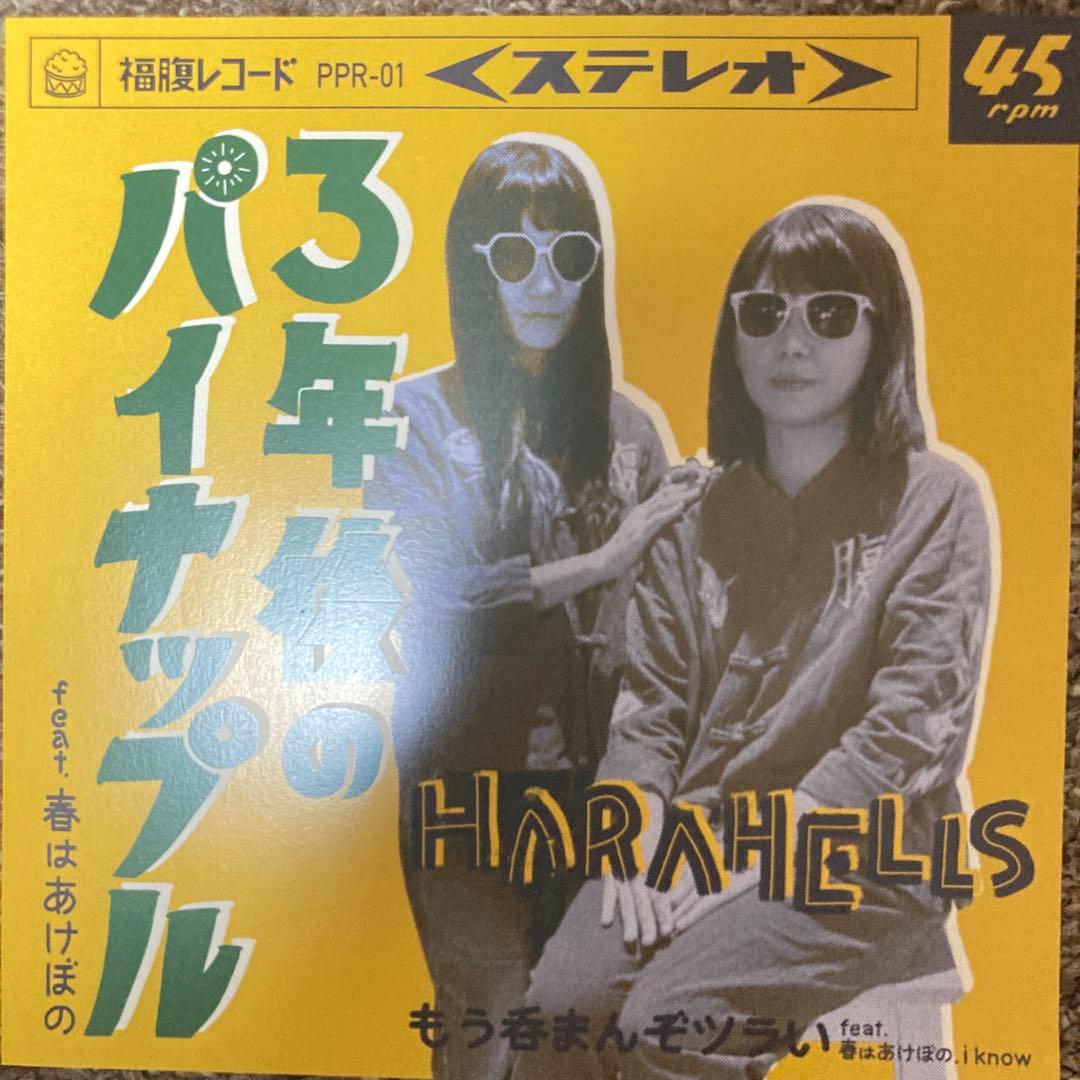 和レゲエ HARAHELLS もう呑まんぞツラい Bob Marleyネタ