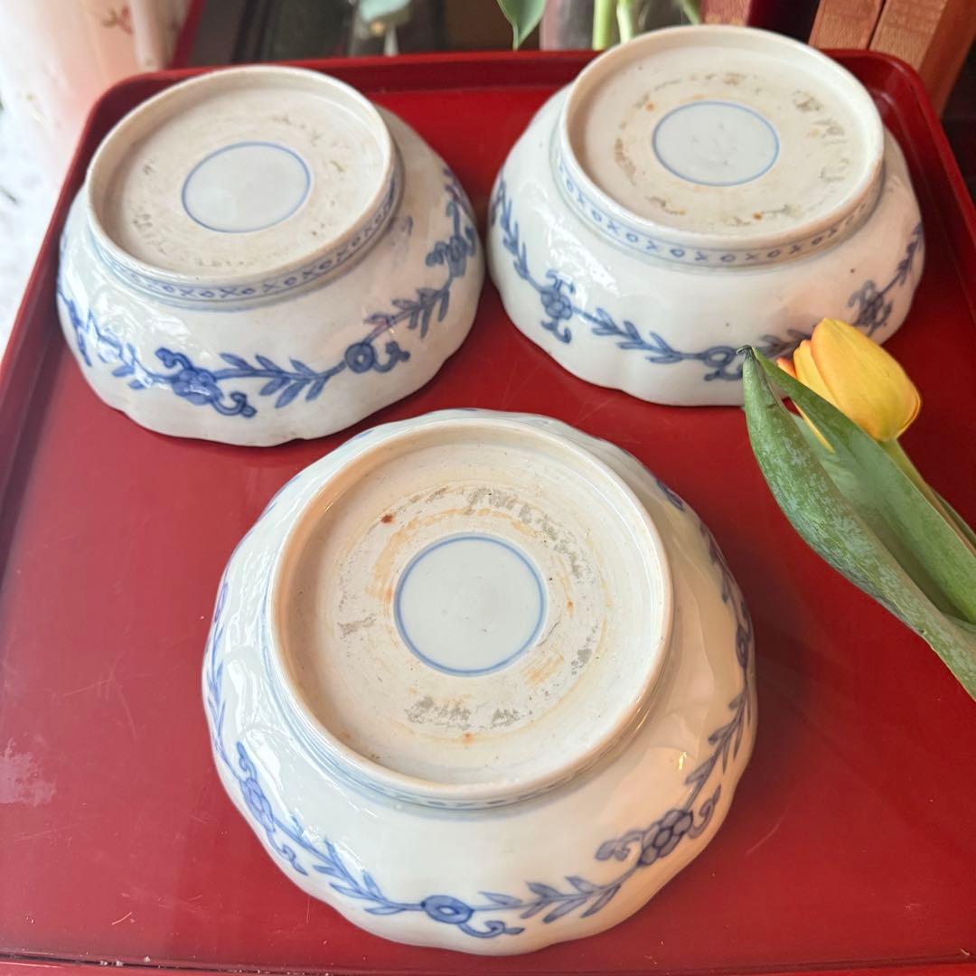 祝ジャングリアお値下げ‼️いいとこどり伊万里Dragon❌あじさい大皿と膾皿