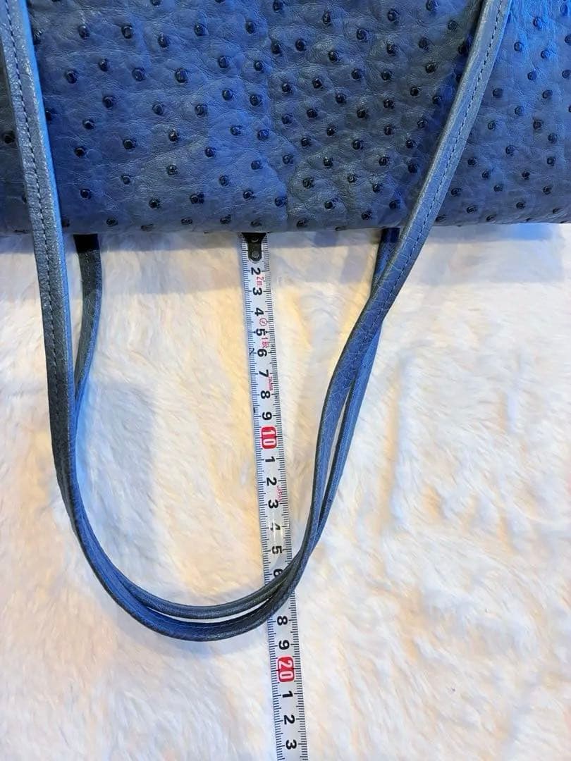 ✴︎タケチ✴︎本物オーストリッチショルダーバッグ✴︎小物入れ付き✴︎ブルー