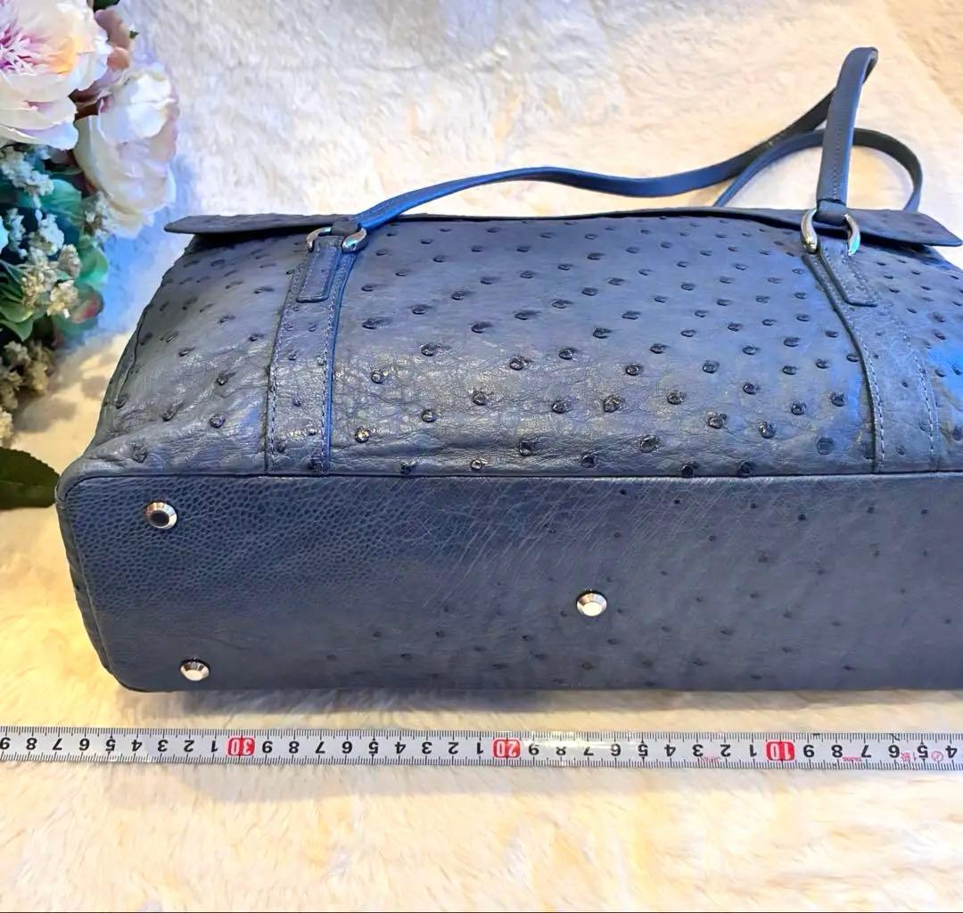 ✴︎タケチ✴︎本物オーストリッチショルダーバッグ✴︎小物入れ付き✴︎ブルー