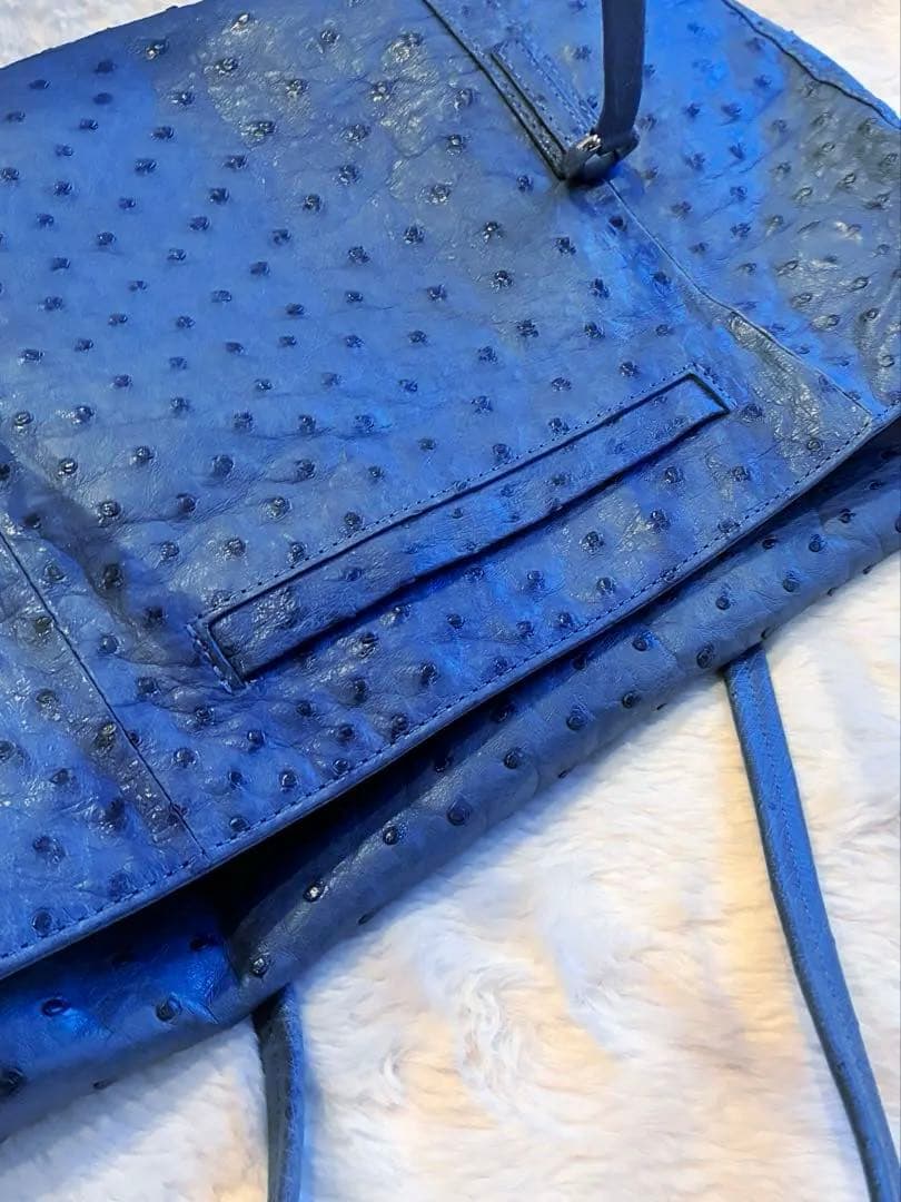 ✴︎タケチ✴︎本物オーストリッチショルダーバッグ✴︎小物入れ付き✴︎ブルー