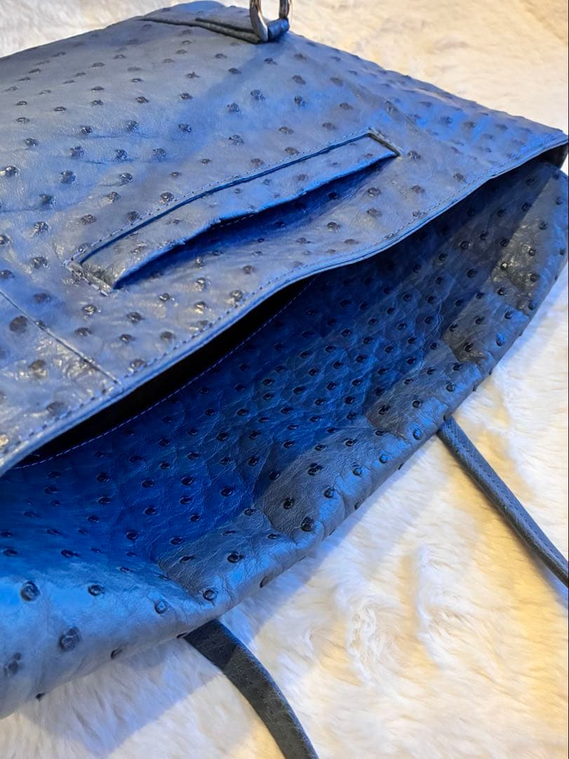 ✴︎タケチ✴︎本物オーストリッチショルダーバッグ✴︎小物入れ付き✴︎ブルー