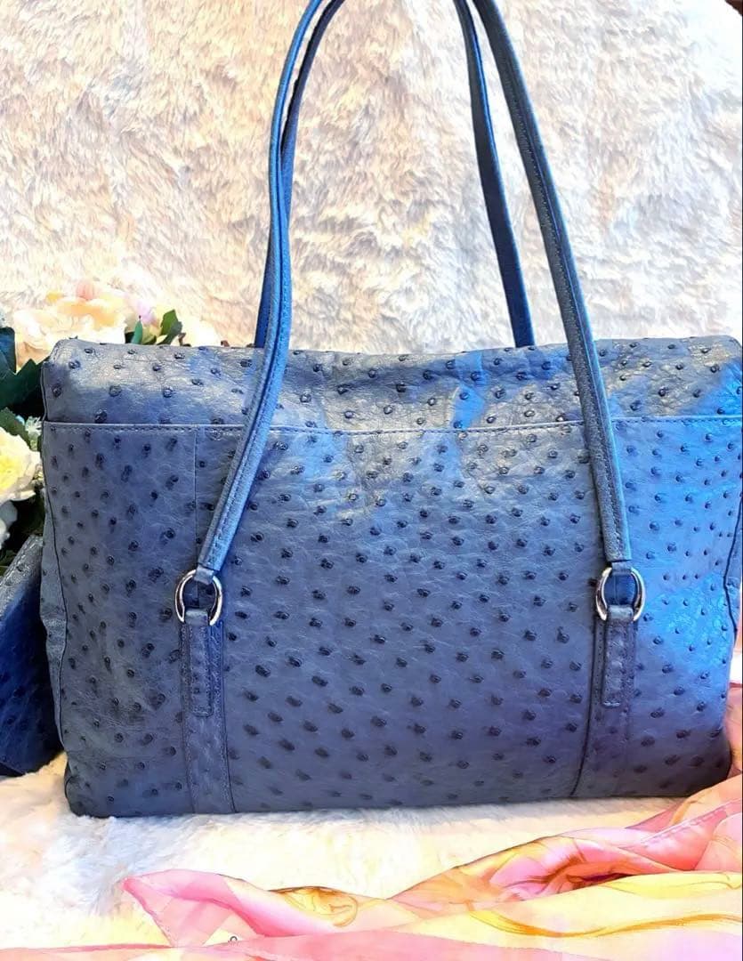 ✴︎タケチ✴︎本物オーストリッチショルダーバッグ✴︎小物入れ付き✴︎ブルー