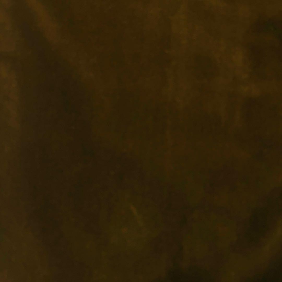 【Loro Piana】ベロア生地パンツ　サイズM