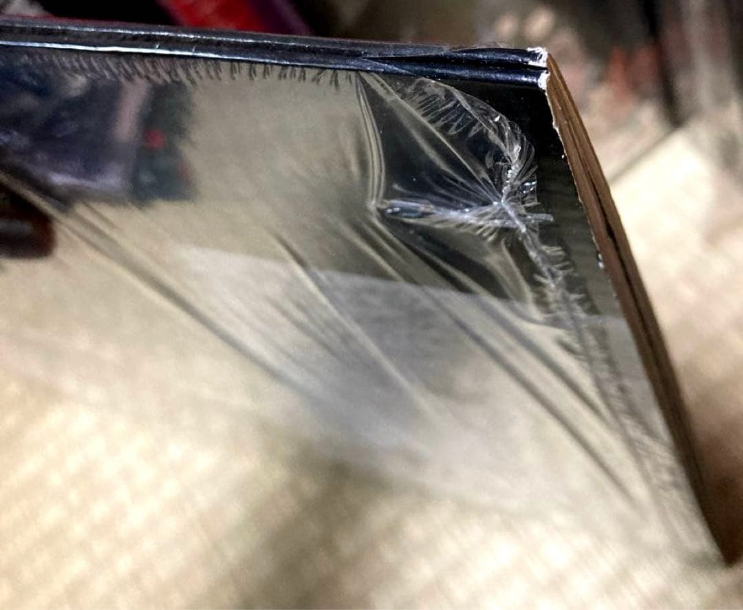 レア NIRVANA BLEACH 20周年記念盤 初回盤 ホワイトヴァイナル