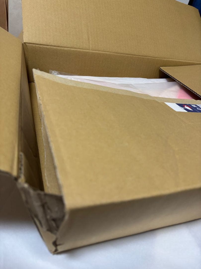 アイエン　うちわカバー　カーペット　stray kids フォクシニー