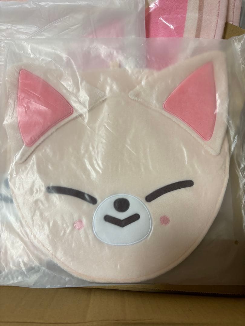 アイエン　うちわカバー　カーペット　stray kids フォクシニー