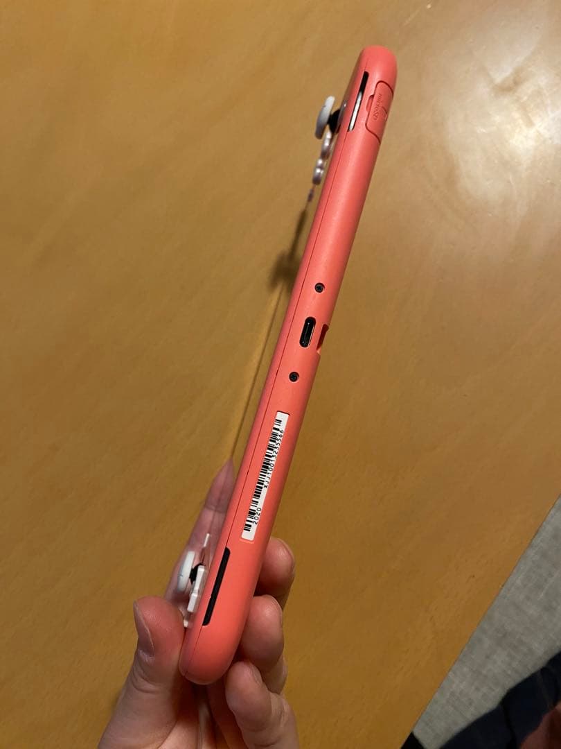 ニンテンドーSwitchライト本体 あつまれどうぶつの森