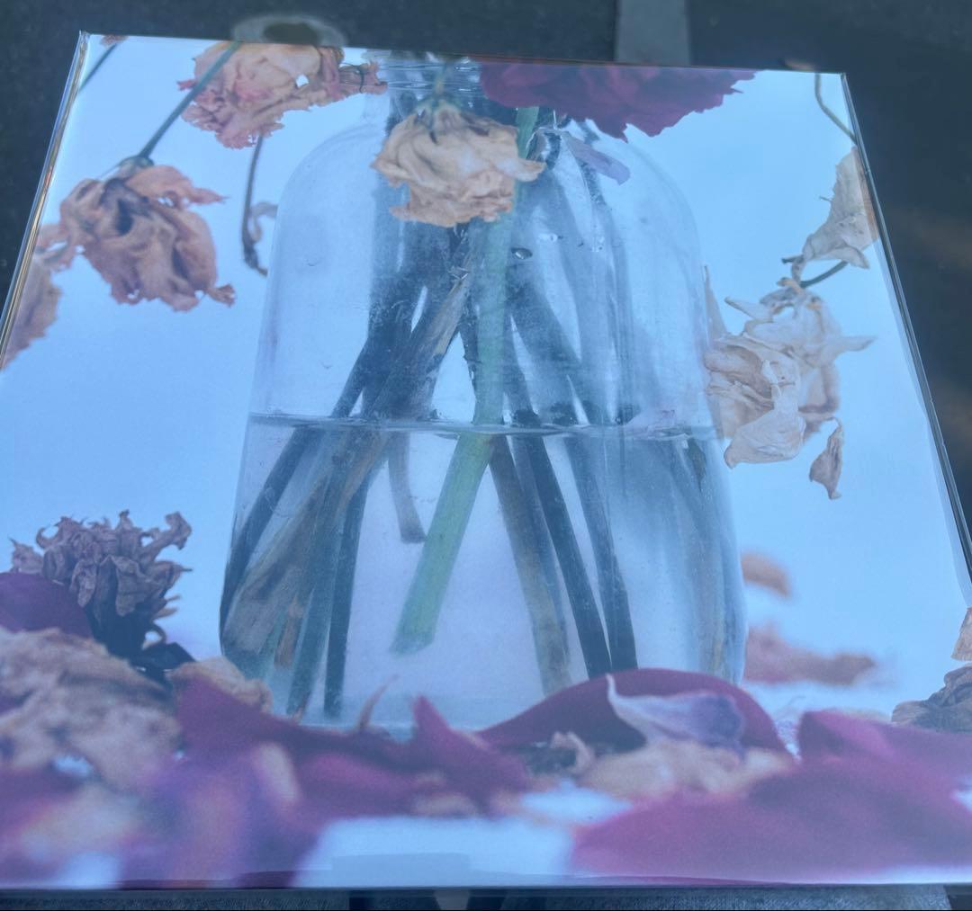 唾奇 Camellia LP (2 vinyl set) 武道館