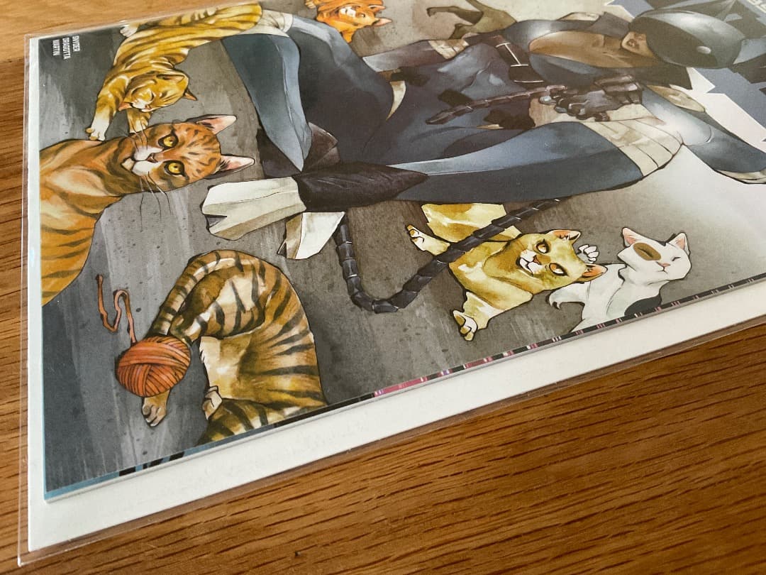 Absolute Batman 13 超レアエクスクルーシブ表紙 アメコミリーフ