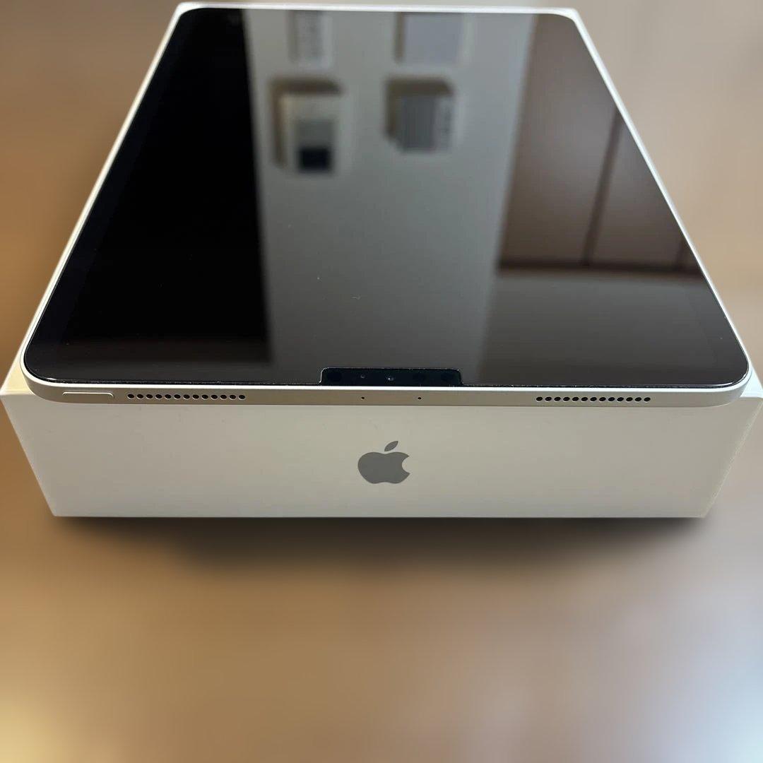 iPad Pro 11インチ 第1世代 256ギガ Wi-Fiモデル シルバー