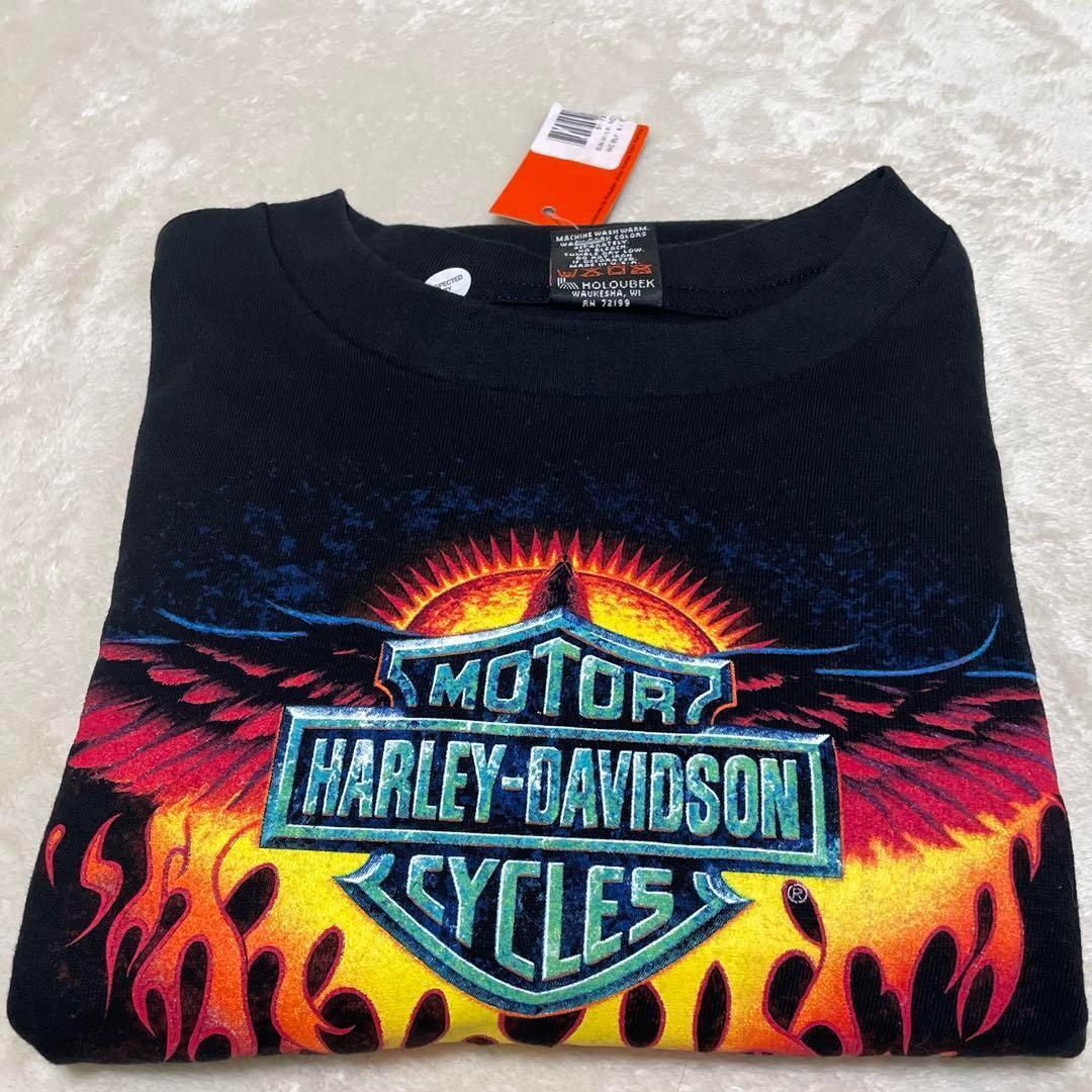 激レアデッド HARLEY DAVIDSON /EAGLE FLAME フレイム