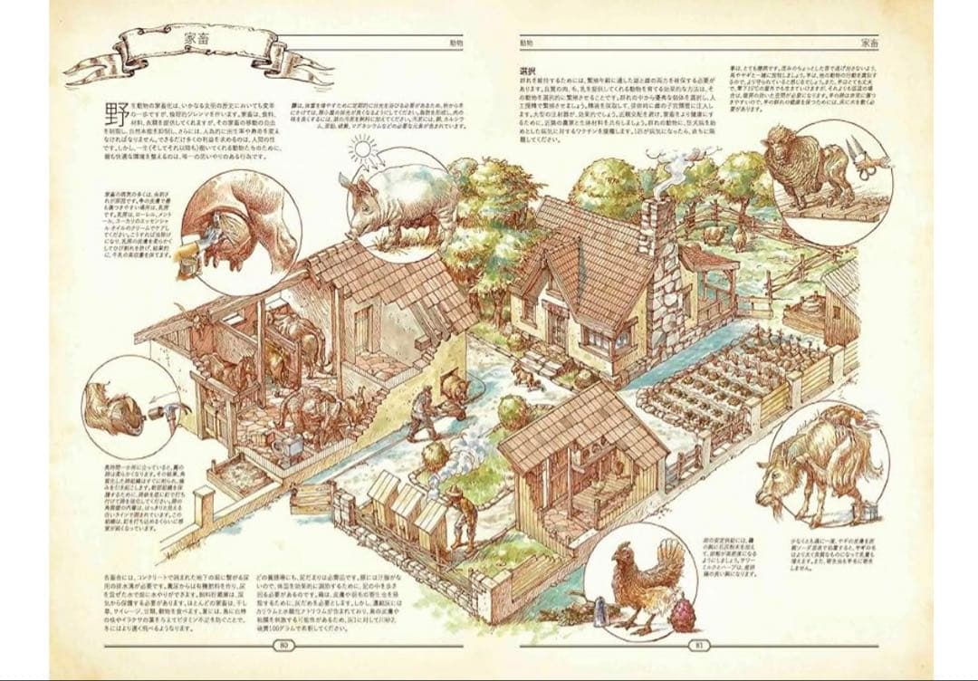 【新品】ザブック 究極の文明　再構築ガイドTHE BOOK 日本語版