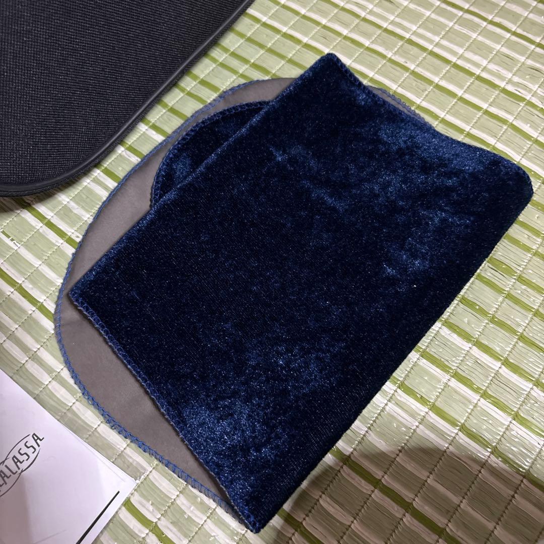 Hallstatt ハルシュタット バイオリン ヴァイオリン V-12 4/4