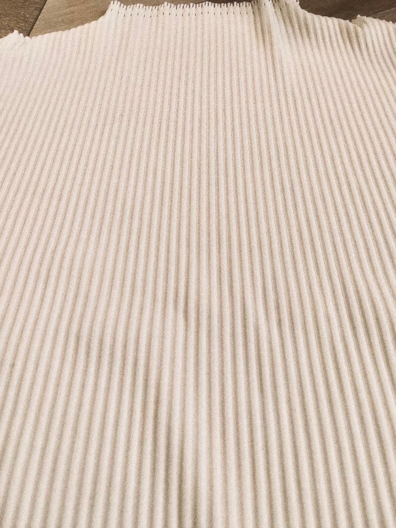 プリーツプリーズ フリンジ 半袖カットソー ホワイト 美品