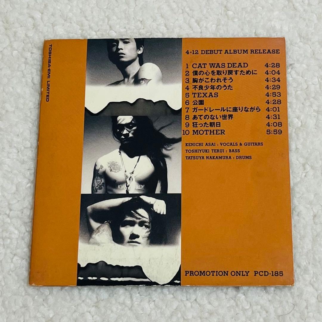 Red Guitar and the Truth 激レアプロモ盤