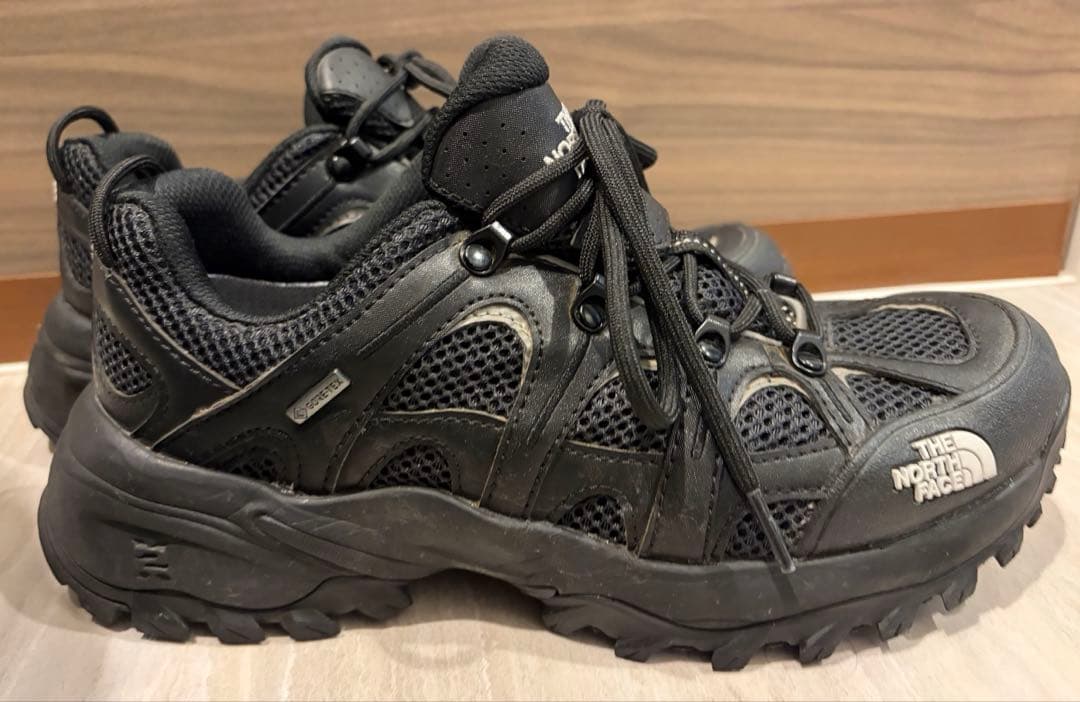 THE NORTH FACE ヘッジホッグ RVST GORE-TEX 25cm