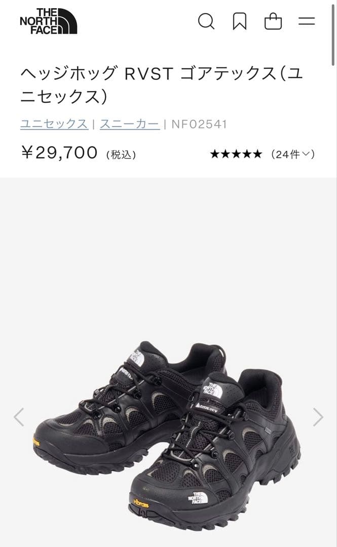 THE NORTH FACE ヘッジホッグ RVST GORE-TEX 25cm