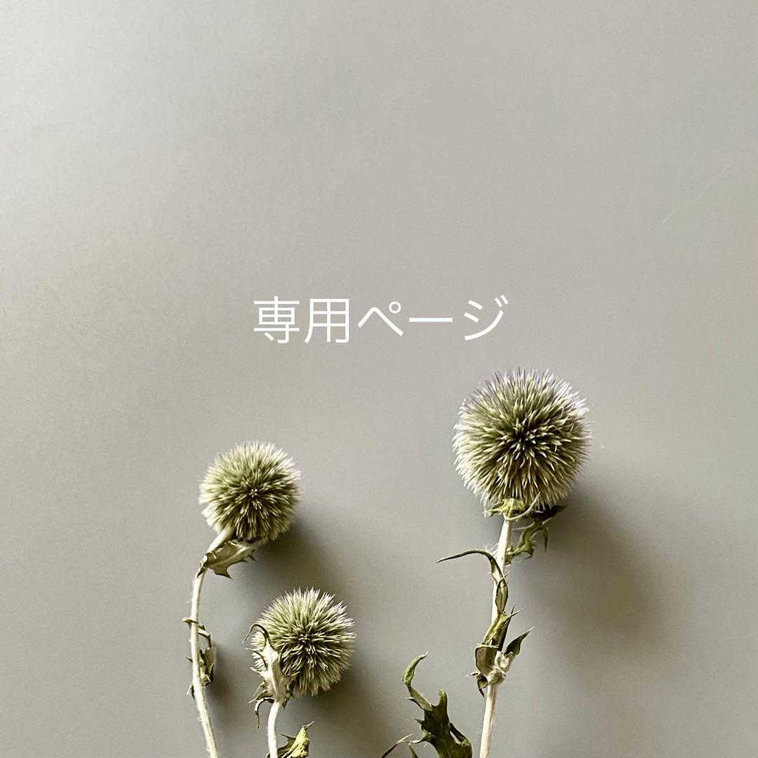 ⿻.* 夢 叶 *.⿻　様⁎⁺˳✧༚